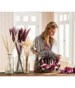 Trockenblumenbund Pampasgras -Geschäft Für Pflanzensamenbedarf 6272587 WE MO 001 PampasgrasMauve Hasenschwanzgras