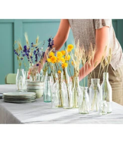 Bestseller -Geschäft Für Pflanzensamenbedarf 6284178 6491682 WE MO 001 Trockenblumen