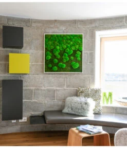 StyleGREEN Bild Aus Wald- Und Kugelmoos Im Verlauf, Ca. B80/H80/T7 Cm -Geschäft Für Pflanzensamenbedarf 6429807 WE MO 001 Wald KugelmoosbildVerlauf80x80cm