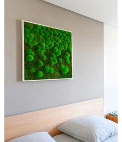 StyleGREEN Bild Aus Wald- Und Kugelmoos Im Verlauf, Ca. B80/H80/T7 Cm -Geschäft Für Pflanzensamenbedarf 6429807 WE MO 002 Wald KugelmoosbildVerlauf80x80cm