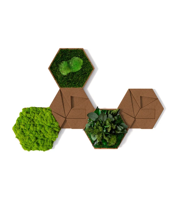 StyleGREEN Bilder-Set Aus Moos Und Kork, Hexagon, 5-teilig 3 StyleGREEN Bilder-Set Aus Moos Und Kork, Hexagon, 5-teilig