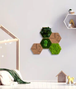 StyleGREEN Bilder-Set Aus Moos Und Kork, Hexagon, 5-teilig 5 StyleGREEN Bilder-Set Aus Moos Und Kork, Hexagon, 5-teilig -Geschäft Für Pflanzensamenbedarf 6429856 WE MO 001 HexagonSet5er