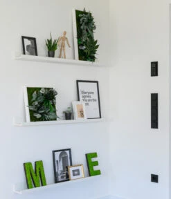 StyleGREEN Bild Im Dschungeldesign, Rechteckig, Ca. B57/H27/T16 Cm 9 StyleGREEN Bild Im Dschungeldesign, Rechteckig, Ca. B57/H27/T16 Cm -Geschäft Für Pflanzensamenbedarf 6429930 WE MO 002 Pflanzenbild57x27cmStylegreen