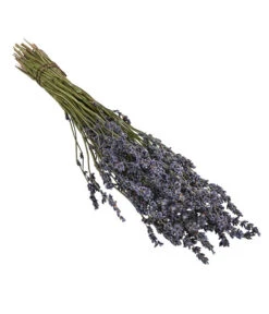 Bestseller 9 Trockenblumenbund Lavendel