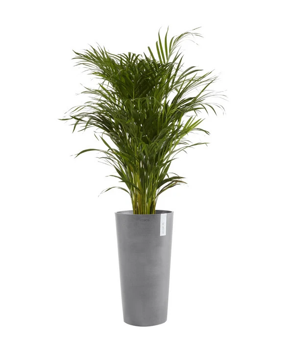 Ecopots Kunststoff-Topf Amsterdam, Rund 4 Ecopots Kunststoff-Topf Amsterdam, Rund – Bild 2