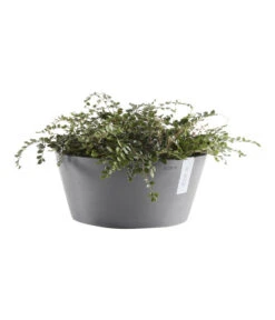 Ecopots Kunststoff-Topf Frankfurt, Rund 10 Ecopots Kunststoff-Topf Frankfurt, Rund -Geschäft Für Pflanzensamenbedarf 6614952 WE FS 003 EcopotsKunststoffTopfFrankfurtrund