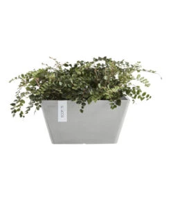 Ecopots Kunststoff-Topf Berlin, Quadratisch -Geschäft Für Pflanzensamenbedarf 6615009 WE FS 002 EcopotsKunststoffTopfBerlinquadratisch