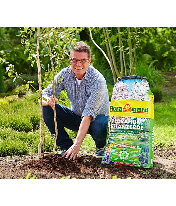 Floragard Florahum Pflanzerde, 36 X 70 L 5 Floragard Florahum Pflanzerde, 36 X 70 L – Bild 3