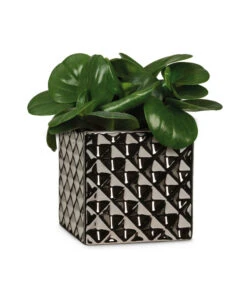 Scheurich Keramik-Übertopf Titanium, Quadratisch, Silber -Geschäft Für Pflanzensamenbedarf 6642060 WE FS 003 TopfTataniumSilber