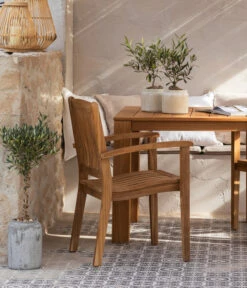 Olive, Stamm, In Keramik, Ca. Ø17/H90 Cm 10 Olive, Stamm, In Keramik, Ca. Ø17/H90 Cm -Geschäft Für Pflanzensamenbedarf 6657415 WE MO 002 GruppeHavanna