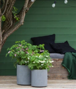 Vasar Kunststoff-Topf City, Grau 9 Vasar Kunststoff-Topf City, Grau -Geschäft Für Pflanzensamenbedarf 6770911 6771166 6771190 WE MO 003 VasarKunststofftopfCityGrau