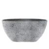 Dehner Kunststoff-Jardiniere Nova, Oval, Grau, Ca. B36/H17/T16 Cm -Geschäft Für Pflanzensamenbedarf 6903454 WE FS 001 JardiniereNovaGrau