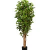 Gasper Kunstpflanze Ficus Benjamini, Ca. H150 Cm -Geschäft Für Pflanzensamenbedarf 6934590 WE FS 001 FicusBenjaminiH150cm