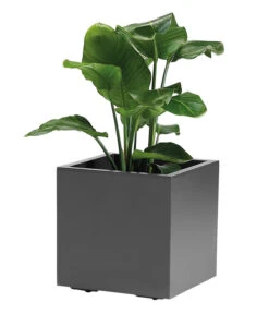 Kunststoff-Topf, Quadratisch, Ca. B40/H40/T40 Cm -Geschäft Für Pflanzensamenbedarf 6935407 WE FS 002 PflanzenkuebelKebeGreener40cmAnthrazit