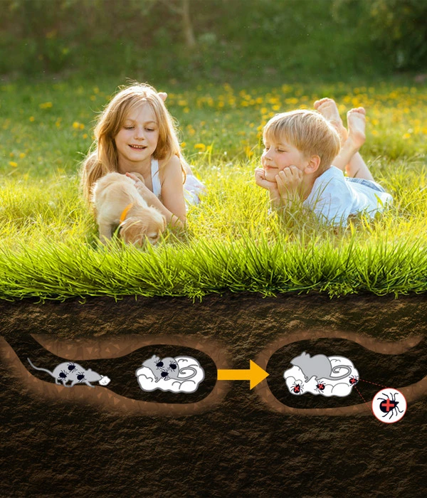 Thermacell Zeckenschutz Protect 5 Thermacell Zeckenschutz Protect – Bild 3