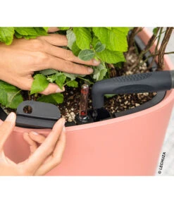 LECHUZA® Kunststoff-Topf Pila Color Planter, Rund, Ca. Ø35/H33 Cm 9 LECHUZA® Kunststoff-Topf Pila Color Planter, Rund, Ca. Ø35/H33 Cm -Geschäft Für Pflanzensamenbedarf 6963664 WE MO 001 LechuzaCOLORPLANTER