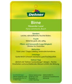 Winterbirne 'Alexander Lucas' 13 Winterbirne 'Alexander Lucas' -Geschäft Für Pflanzensamenbedarf 7602709 BirneAlexanderLucas Etikett 2