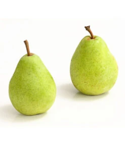 Winterbirne 'Alexander Lucas' 10 Winterbirne 'Alexander Lucas' -Geschäft Für Pflanzensamenbedarf 7602709 WE DE 007 BirneAlexanderLucasDehnerExpressHerzig