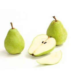 Winterbirne 'Alexander Lucas' 11 Winterbirne 'Alexander Lucas' -Geschäft Für Pflanzensamenbedarf 7602709 WE DE 008 BirneAlexanderLucasDehnerExpressHerzig