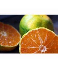 Rangpur-Limette 'Lima Rossa' 10 Rangpur-Limette 'Lima Rossa' -Geschäft Für Pflanzensamenbedarf 7622616 WE MO 001 RangpurLimettePixabay