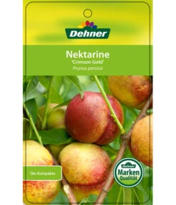 Nektarine 'Crimson Gold' -Geschäft Für Pflanzensamenbedarf 7626005 NektarineCrimsonGold Etikett 1