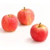 Herbstapfel 'Gala' -Geschäft Für Pflanzensamenbedarf 7645880 WE DE 005 ApfelGalaDehnerExpressHerzig