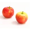Herbstapfel 'Gerlinde' -Geschäft Für Pflanzensamenbedarf 7648413 WE DE 003 ApfelGerlindeDehnerExpressHerzig