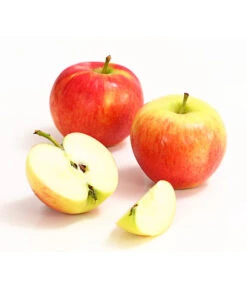 Herbstapfel 'Gerlinde' -Geschäft Für Pflanzensamenbedarf 7648413 WE DE 004 ApfelGerlindeDehnerExpressHerzig
