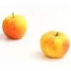 Winterapfel 'Goldparmäne' -Geschäft Für Pflanzensamenbedarf 7654999 WE DE 005 ApfelGoldparmaeneDehnerExpressHerzig