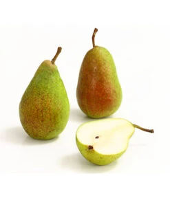 Sommerbirne 'Gute Luise' -Geschäft Für Pflanzensamenbedarf 7658578 WE DE 006 BirneGuteLuiseDehnerExpressHerzig