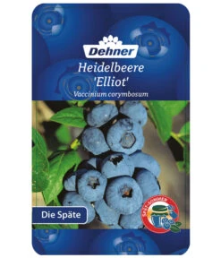 Heidelbeere 'Elliot' 8 Heidelbeere 'Elliot' -Geschäft Für Pflanzensamenbedarf 7665227 HeidelbeereElliot Etikett 1
