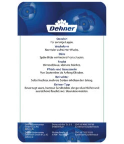 Heidelbeere 'Elliot' 9 Heidelbeere 'Elliot' -Geschäft Für Pflanzensamenbedarf 7665227 HeidelbeereElliot Etikett 2