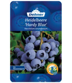 Heidelbeere 'Hardyblue' -Geschäft Für Pflanzensamenbedarf 7665490 HeidelbeereHardyblue Etikett 1