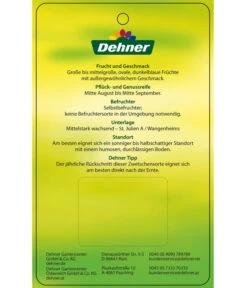 Zwetschge 'Jojo' -Geschäft Für Pflanzensamenbedarf 7692635 ZwetscheJojo Etikett 2