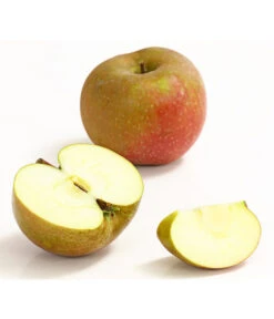 Winterapfel 'Roter Boskoop' 11 Winterapfel 'Roter Boskoop' -Geschäft Für Pflanzensamenbedarf 7745409 WE DE 002 ApfelBoskoopDehnerExpressHerzig