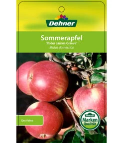 Sommerapfel 'Roter James Grieve' -Geschäft Für Pflanzensamenbedarf 7745730 SommerapfelRoterJamesGrieve Etikett 1