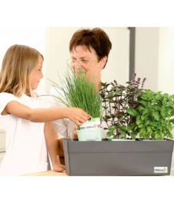 GREENBAR® Naschtomate 7 GREENBAR® Naschtomate -Geschäft Für Pflanzensamenbedarf 7750482 WE MO 009 GreenbarAnleitungIndoor