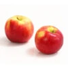 Allergikerapfel 'Santana' -Geschäft Für Pflanzensamenbedarf 7750631 WE DE 003 ApfelSantanaDehnerExpressHerzig