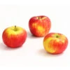 Herbstapfel 'Topaz' -Geschäft Für Pflanzensamenbedarf 7763931 WE DE 007 ApfelTopazDehnerExpressHerzig