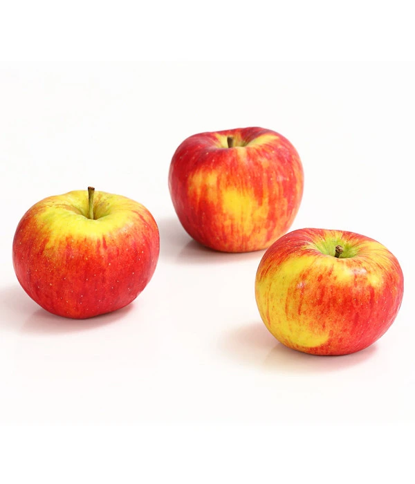 Herbstapfel 'Topaz' 3 Herbstapfel 'Topaz'