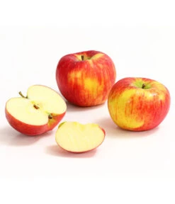 Herbstapfel 'Topaz' 8 Herbstapfel 'Topaz' -Geschäft Für Pflanzensamenbedarf 7763931 WE DE 008 ApfelTopazDehnerExpressHerzig