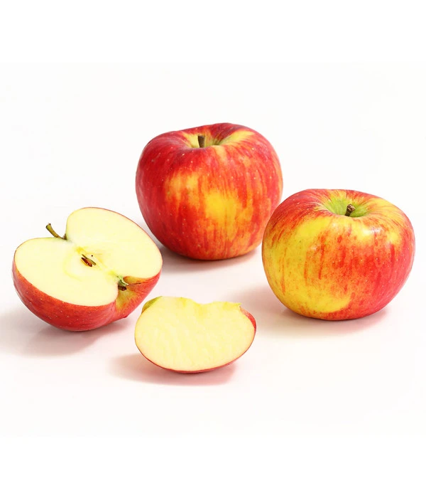 Herbstapfel 'Topaz' 5 Herbstapfel 'Topaz' – Bild 3