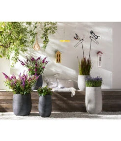 Bestseller -Geschäft Für Pflanzensamenbedarf 8092108 PR MO 005 LavendelLavandulaAngustifoliaT13Schmetterlingsgarten Rosen usw GC14 2020