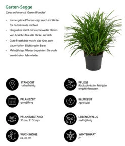 Geschäft Für Pflanzensamenbedarf -Geschäft Für Pflanzensamenbedarf 8095119 WE IG 001 GartenSegge