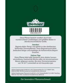 Elatior-Begonie - Begonia Elatior 'Borias®' -Geschäft Für Pflanzensamenbedarf 8208209 BegonieBoriasrosa Etikett 2