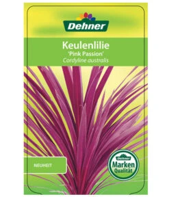 Keulenlilie 'Pink Passion' -Geschäft Für Pflanzensamenbedarf 8261828 CorylinePinkPassionEtikett1