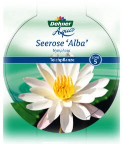 Dehner Seerose -Geschäft Für Pflanzensamenbedarf 8315905 Seerose Alba Etikett 1 NEU