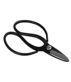 Bonsai Chinesischer Feigenbaum - Ficus Retusa, Anfänger-Set, 10 Jahre 9 Bonsai Chinesischer Feigenbaum - Ficus Retusa, Anfänger-Set, 10 Jahre -Geschäft Für Pflanzensamenbedarf 8561573 WE FS 002 SchereSetBonsai