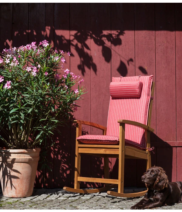 XXL Oleander, Verschiedene Sorten, Ca. 130-150 Cm 6 XXL Oleander, Verschiedene Sorten, Ca. 130-150 Cm – Bild 4