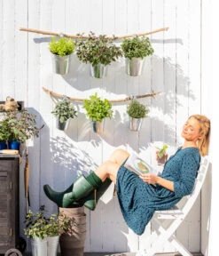 Dehner Gourmet Garten Strauchbasilikum 'Magic Blue' 10 Dehner Gourmet Garten Strauchbasilikum 'Magic Blue' -Geschäft Für Pflanzensamenbedarf 8610123 WE MO 001 Oregano Kraeuter 1